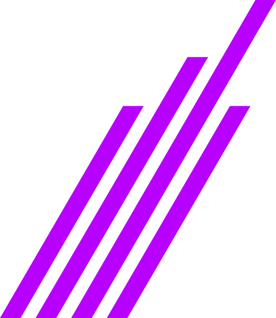 Purple Line Image